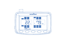 Truck TPMS Display